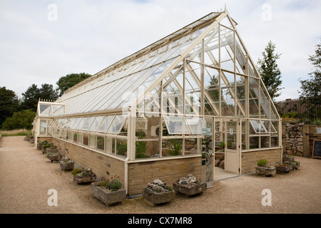 Alpine Gewächshaus bei Harlow Carr RHS Gärten in der Nähe von Harrogate in North Yorkshire, England Stockfoto