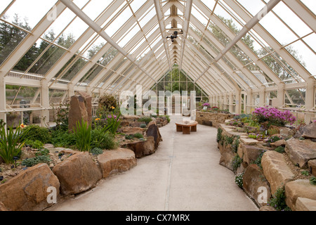 Alpine Gewächshaus bei Harlow Carr RHS Gärten in der Nähe von Harrogate in North Yorkshire, England Stockfoto