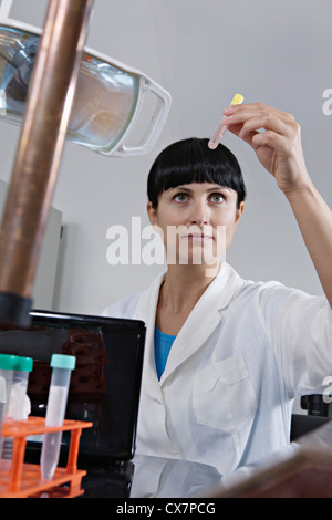 Ein Labortechniker untersucht ein Reagenzglas voll mit Flüssigkeit Stockfoto