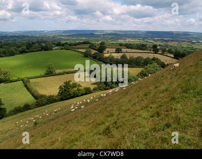 Ansicht der Somerset Levels von Glastonbury Tor, UK Stockfoto