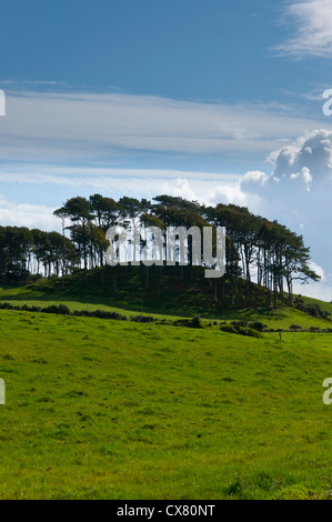 Bewaldeten Hummock kleine Knoll Hügel Hügel Stockfoto