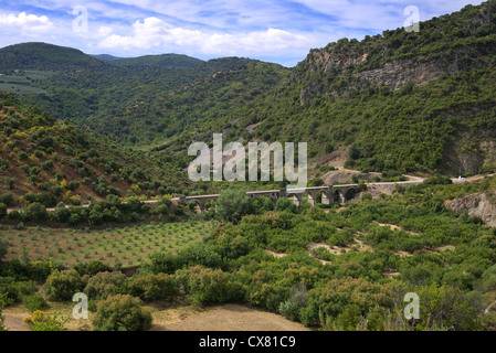 Landschaft in der Nähe von Moron De La Frontera in Spanien. Stockfoto