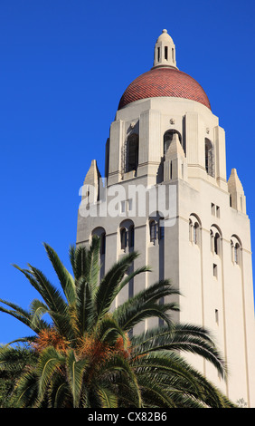 Hoover-Turm der Stanford University, Palo Alto Stockfoto