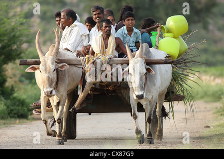 Ochsenkarren transportieren Dorfbewohner Andhra Pradesh in Indien Stockfoto