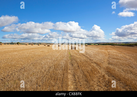 Ein Spätsommer-Landschaft mit Aussicht auf eine goldene Stoppelfeld mit Stroh Rundballen unter blauem Himmel mit weißen Wolken Stockfoto