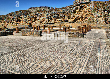 Mosaik in den römischen Ruinen von Conimbriga Stockfoto