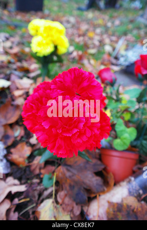 Blumen auf ein Grab auf einem Friedhof Stockfoto