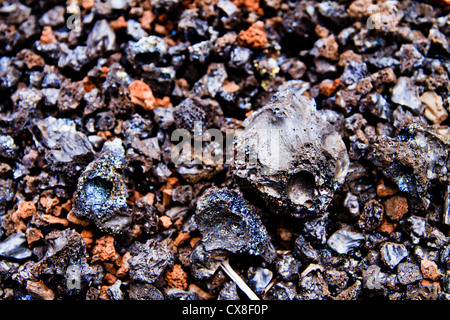 Lavafelsen hautnah auf den Galapagos-Inseln Stockfoto