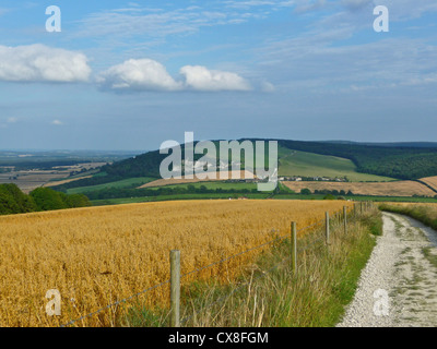 Ein Blick auf den South Downs Way in West Sussex. Dies ist ein National Trail in Form eines 100 Mile Weges für Fußgänger, Radfahrer und Reiter zwischen Winchester und Eastbourne. Stockfoto