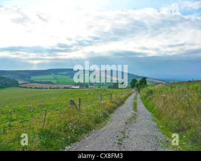 Einen Panoramablick auf den South Downs Way in West Sussex. Dies ist ein National Trail in Form eines 100 Mile Weges für Fußgänger, Radfahrer und Reiter zwischen Winchester und Eastbourne. Stockfoto