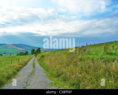 Ein Blick auf den South Downs Way in West Sussex. Dies ist ein National Trail in Form eines 100 Mile Weges für Fußgänger, Radfahrer und Reiter zwischen Winchester und Eastbourne. Stockfoto