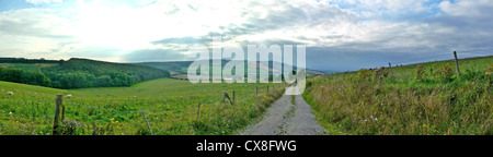 Einen Panoramablick auf den South Downs Way in West Sussex. Dies ist ein National Trail in Form eines 100 Mile Weges Stockfoto