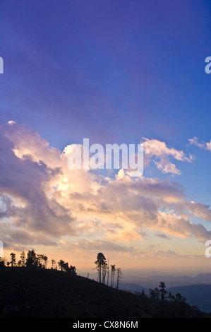 Blick vom oberen/Rand der Mogollon Rim/Plateau bei Sonnenaufgang in Zentral-Arizona. Stockfoto