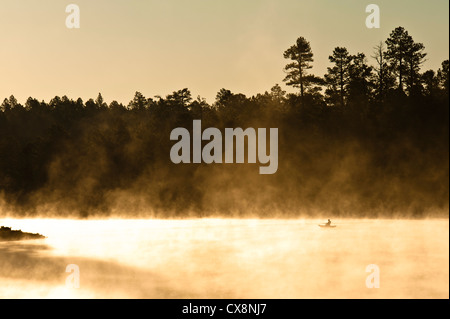 Ein nebeliger Morgen Sonnenaufgang im Wald Canyon Lake auf die Mogollon Rim. Sitgreaves National Forest. Fischer. Stockfoto