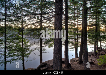 Ein nebeliger Morgen Sonnenaufgang im Wald Canyon Lake auf die Mogollon Rim. Sitgreaves National Forest. Stockfoto