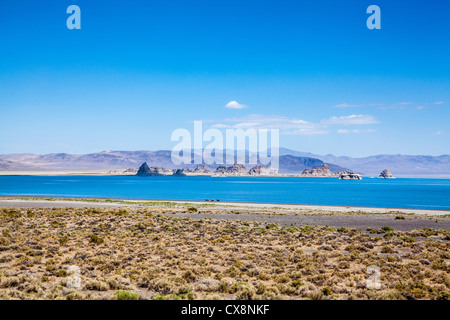 Szenen am Pyramid Lake im nördlichen Nevada auf den Pyramid Lake Pauite-Indianer-Reservat Stockfoto