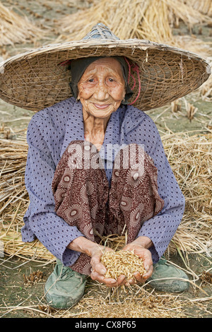 Eine schöne 93 Jahre alte Chinesin Ernte Reis die traditionelle Art und Weise mit ihren Händen den Toren Guilin, China Stockfoto