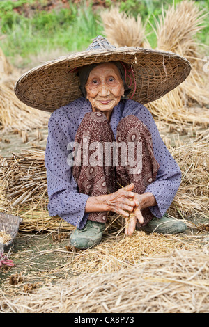 Eine schöne 93 Jahre alte Chinesin Ernte Reis die traditionelle Art und Weise mit ihren Händen den Toren Guilin, China Stockfoto