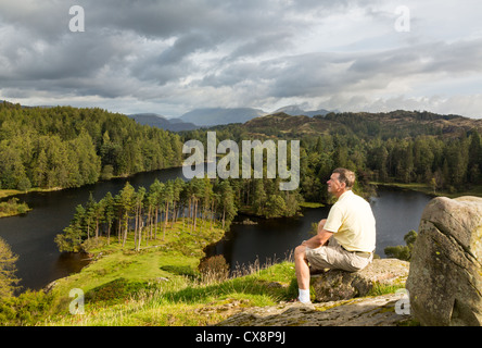 Senior Wanderer blickt über Tarn Hows im englischen Lake District Stockfoto