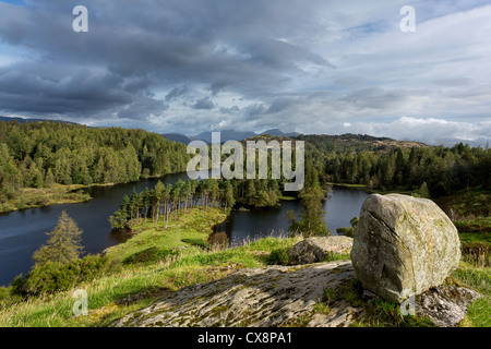 Panoramablick über Tarn Hows im englischen Lake District Stockfoto