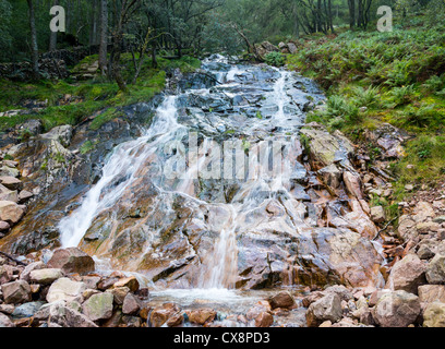 Buttermilch oder saure Milch Gill in Buttermere im Lake District Stockfoto