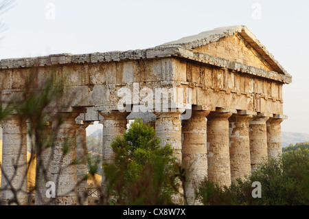 Blick auf den griechischen Tempel in Segesta in Sizilien durch die Vegetation des Standortes Stockfoto