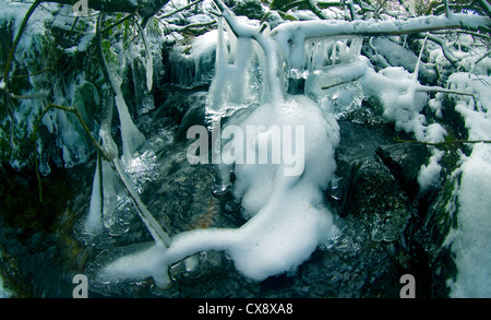 Eiszapfen erstellen eine Fantasy-Welt über einen Bach, Moor, Nationalpark Dartmoor, Devon, England, UK. Stockfoto