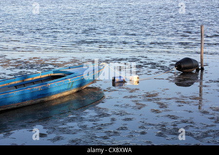 Isola Erasmo Insel in der Lagune Stockfoto