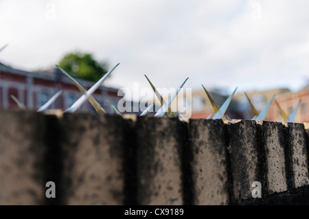 Metall-spikes oben auf einer Mauer zu verhindern, dass Menschen klettern über Stockfoto