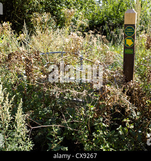 Überwucherten öffentlichen Fußweg, unpassierbar, blockiert, Warwickshire County Council, Kenilworth Fußweg Erhaltung Gruppe, Stockfoto