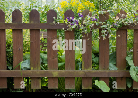 Holzzaun auf einen grünen Garten voller Pflanzen Stockfoto