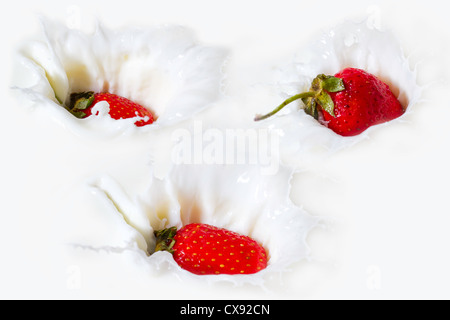 Erdbeeren in Milch oder Sahne fallen und Spritzwasser Stockfoto