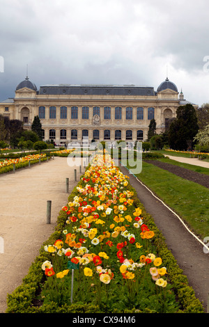 Blick auf die Grande Galerie de l'Évolution im Jardin des Plantes, Paris, Frankreich Stockfoto