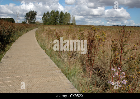 Suffolk Coast Path neben der Mündung des Flusses Alde in der Nähe von Snape Maltings, Suffolk Stockfoto