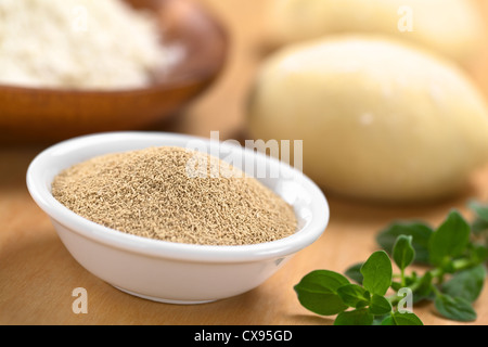 Aktive trockene Hefe in kleinen Schüssel mit frischem Oregano, Mehl und Teig in den Rücken Stockfoto