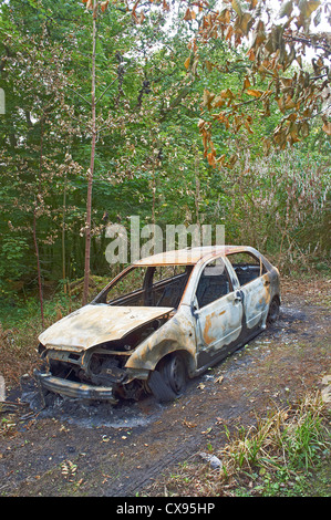 Ausgebrannte Auto im Wald Stockfoto