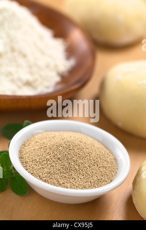 Aktive trockene Hefe in kleinen Schüssel mit frischem Oregano, Mehl und Teig (selektiven Fokus, Fokus in der Mitte der Trockenhefe) Stockfoto