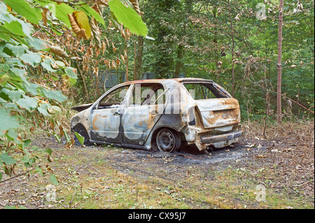 Ausgebrannte Auto im Wald Stockfoto