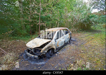 Ausgebrannte Auto im Wald Stockfoto