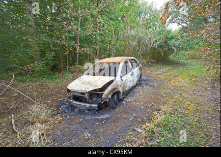 Ausgebrannte Auto im Wald Stockfoto