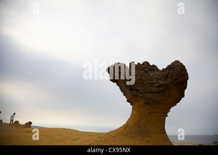 Felsformationen im Yehliu geologischen Park in Taiwan Stockfoto