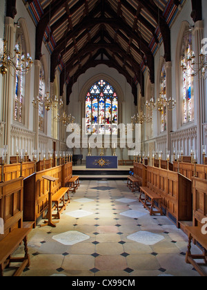 Ein Portraitbild zeigt das Innere der Kapelle am Corpus Christi College in Cambridge mit gewölbter Balkendecke und Fleck Stockfoto