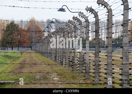 Stacheldraht Zäune in Auschwitz II-Birkenau am 28. Oktober 2007 in Oswiecim, Polen Stockfoto