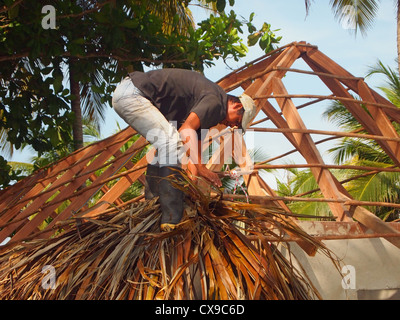 Konstruktion mit Palmen Bäume und Blätter, Palomino, Guajira, Kolumbien, Südamerika Stockfoto