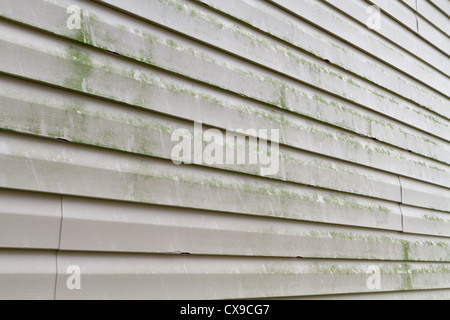 Grüne Algen, Schimmel und schmutzig Schmutz auf einem Abschnitt der ein Wohnhäusern Vinyl Siding Exterieur. Durch Druck Waschen entfernt. Stockfoto