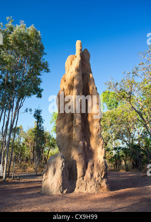 Riesige Termite Mound, Litchfield Nationalpark, Northern Territory Stockfoto