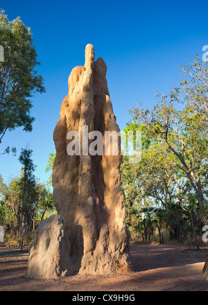 Riesige Termite Mound, Litchfield Nationalpark, Northern Territory Stockfoto