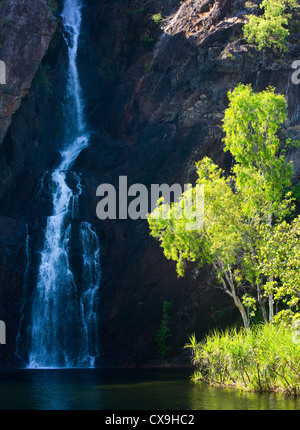 Wangi Falls im Litchfield National Park, Northern Territory Stockfoto