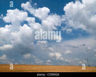 Landschaftsbild von Dugo Selo, kroatische Umgebung Stockfoto