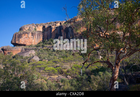 Nourlangie Rock, Kakadu-Nationalpark, Northern Territory Stockfoto